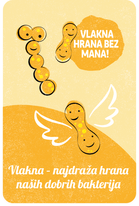 Vlakna – najdraža hrana naših dobrih bakterija
